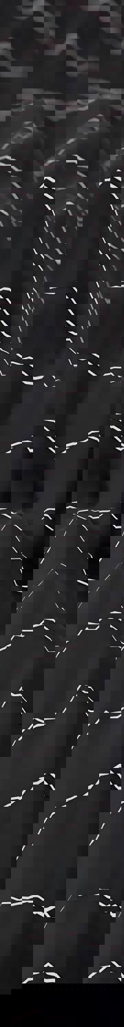 Image related to TRACE Cyber Intelligence Pulse - 17 October 2025